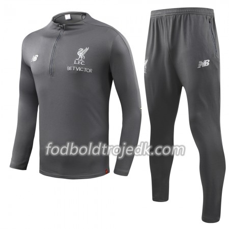 Liverpool Sweatshirt Dragt Grå 2018/19